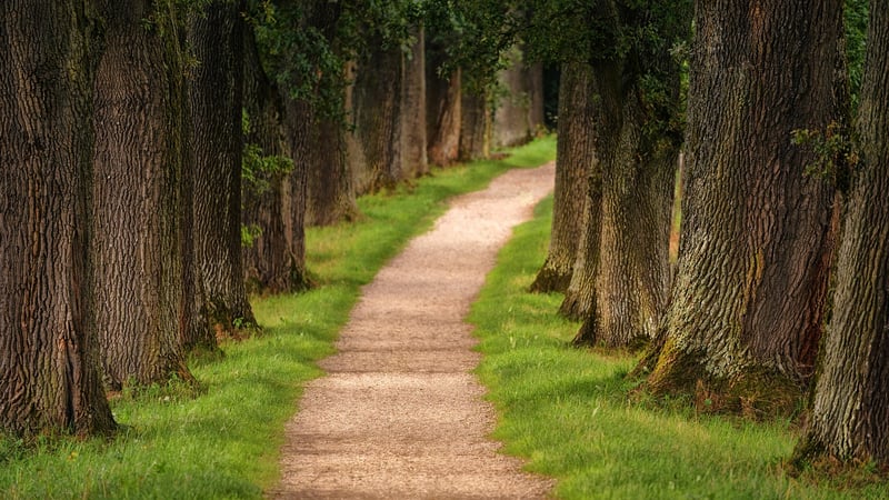 Nature Hike